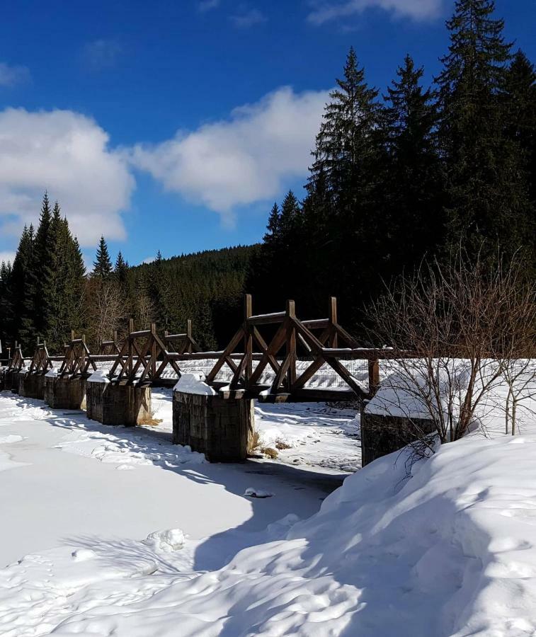 Apartmany U Mlyna Sušice Buitenkant foto