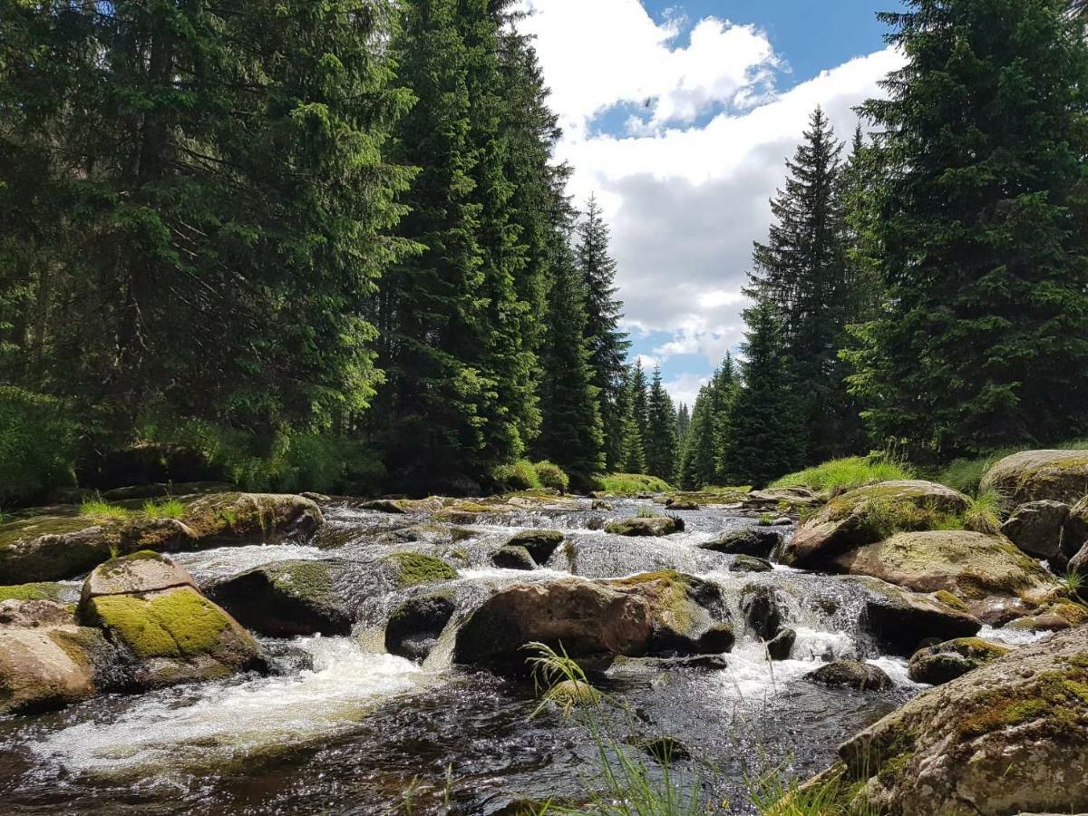 Apartmany U Mlyna Sušice Buitenkant foto